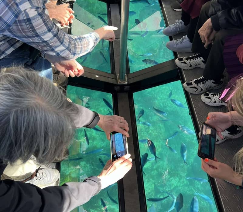 People on a glass bottom boat taking photos of fish swimming underwater.
