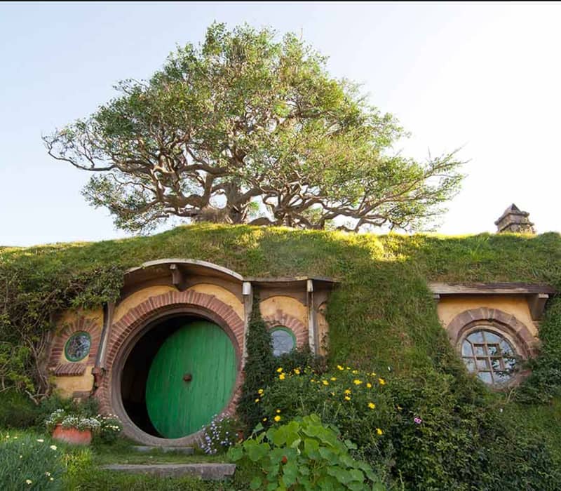 Hobbit house with green round door, grass roof, flowers and a large tree on top in bright daylight.
