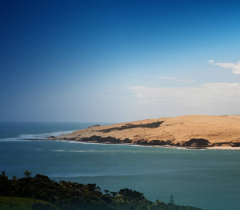 Coastal sand dunes by a calm ocean with clear blue sky and green vegetation in foreground.