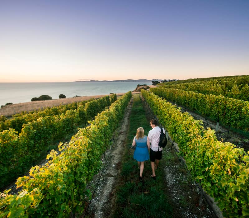 North to South Food & Wine Journey