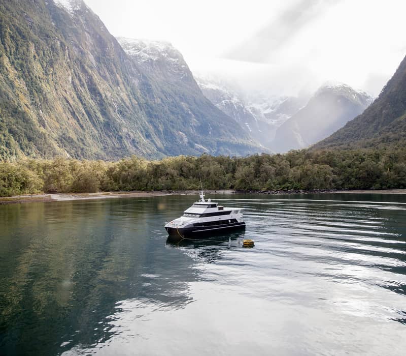 Luxury boat cruising on calm water with mountainous landscape and forest in the background. Credit: Fiordland Discovery
