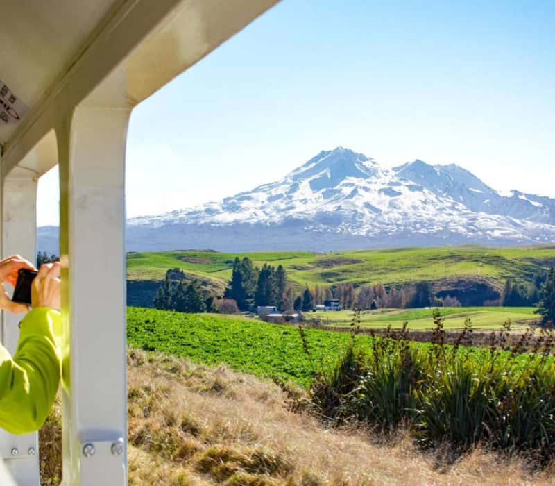 Tourists on a train taking photos of snow-covered Mount Ruapehu against blue sky and green fields.