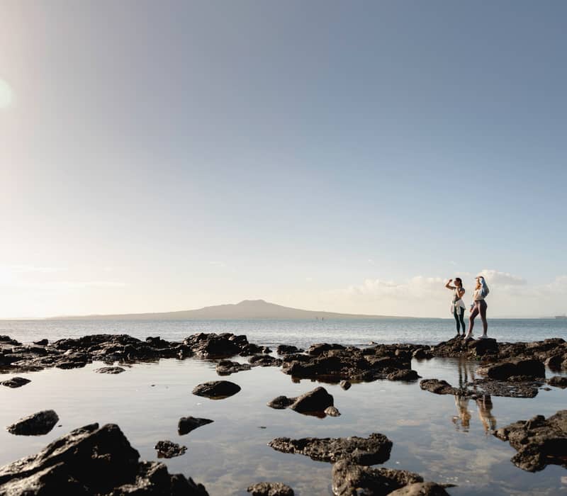 Harbours, Heights and City Lights