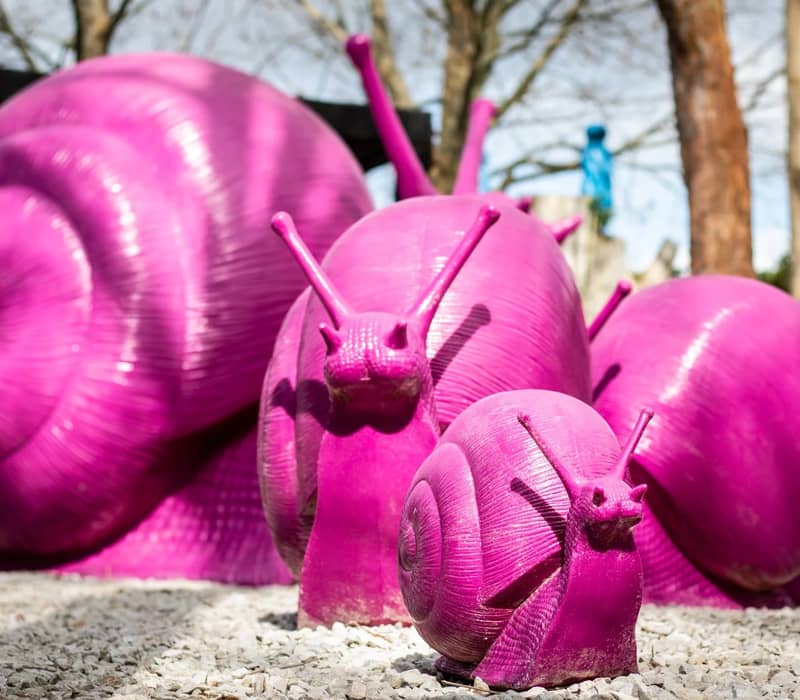 Bright pink snail statues outdoors on gravel with trees in background.