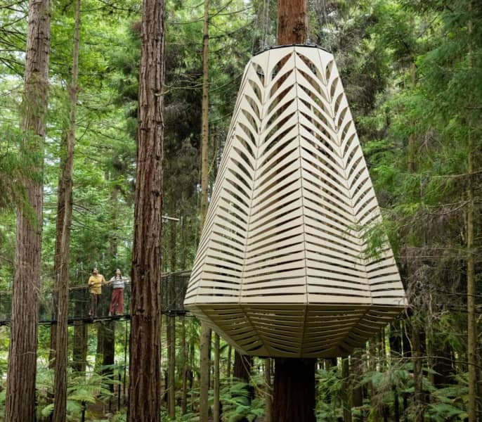 Two people walk on a suspension bridge next to a large lantern-shaped wooden structure in a lush redwood forest.