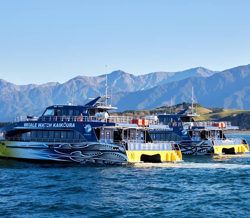 Two whale watching boats on ocean with mountain range in background under clear sky.