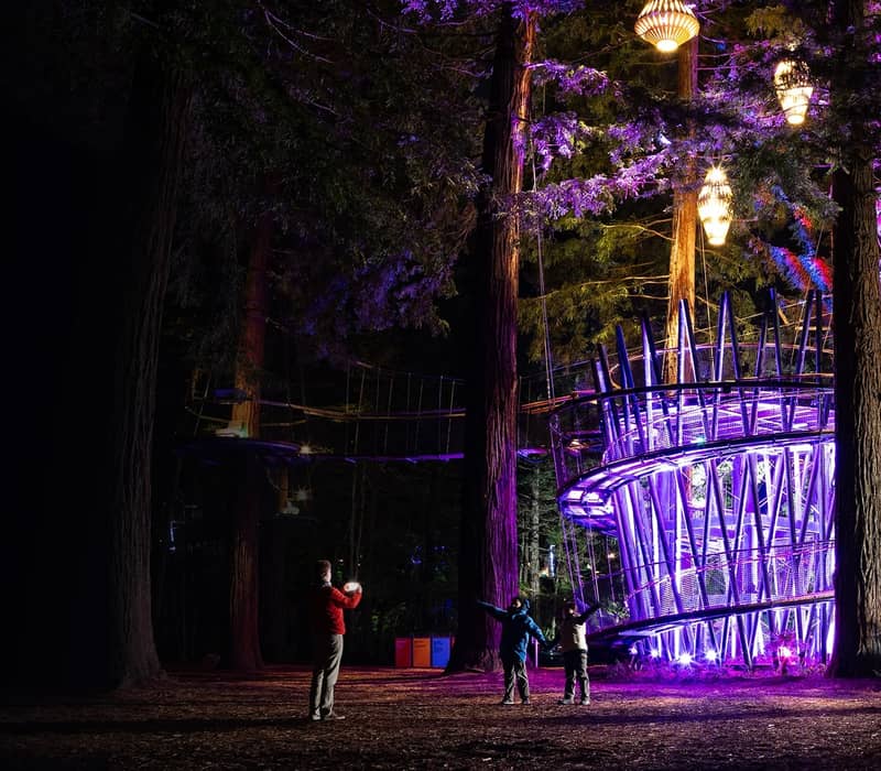 People standing near an illuminated spiral treewalk tower and lanterns in a forest at night.