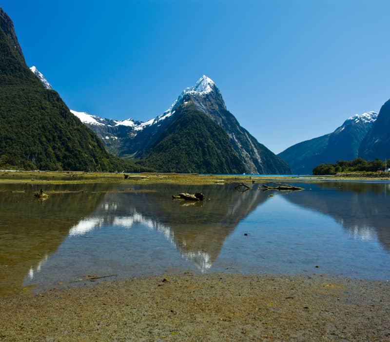 Milford Sound mountains reflecting in calm water under clear blue sky.