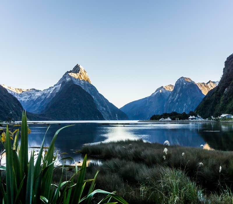 Milford Sound fiord with calm water, mountains, and vegetation under a clear blue sky.
