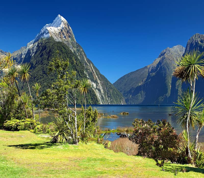 Snow-capped mountain and lake with green trees and clear blue sky in New Zealand.