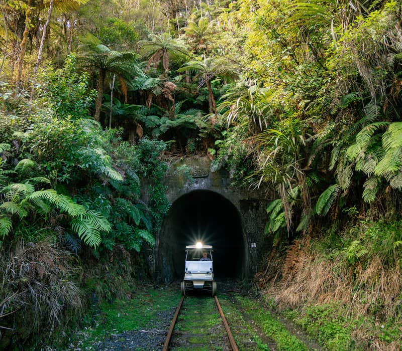 A rail cart emerging from a dark tunnel surrounded by dense green trees and ferns in a forest. Credit: Forgotten World Adventures