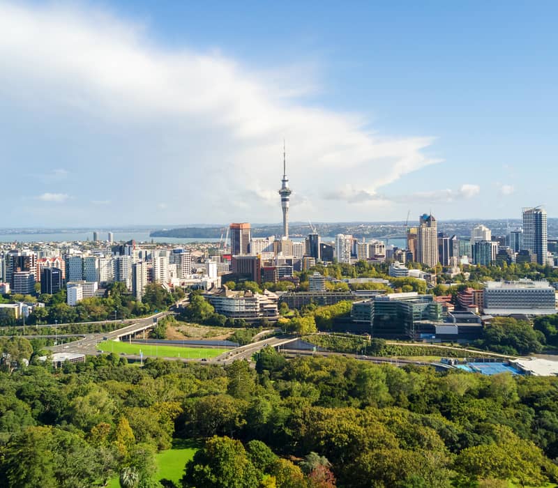 A panoramic morning view of the Sky Tower and downtown Auckland framed by the green slopes of Mt Eden.