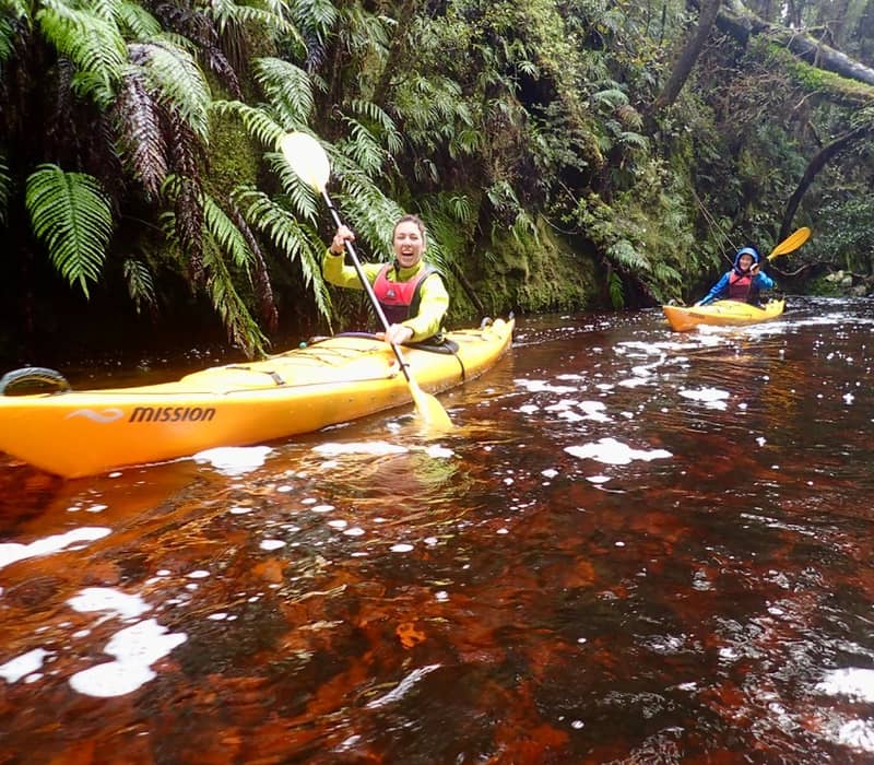 Two kayakers paddling on a forested river in yellow kayaks surrounded by greenery.
