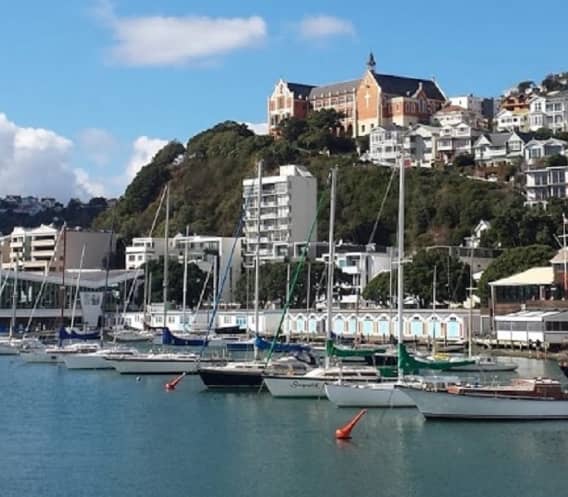 Wellington Harbor with sailboats, hillside homes, and modern buildings under a blue sky with clouds.