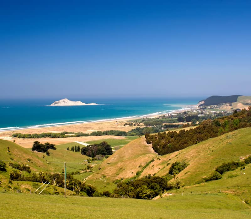View of green hills, sandy beach, ocean, and a small island off the coast under a clear blue sky.