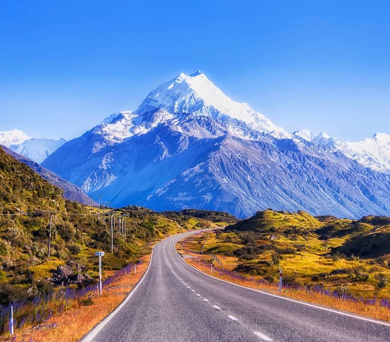 A Long curing road leading up to Mt Cook with snow on the top and green verges 