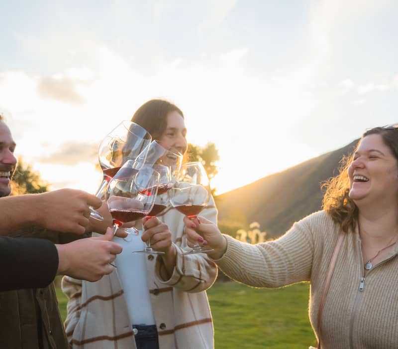 Friends clinking wine glasses outdoors at sunset with mountains behind.