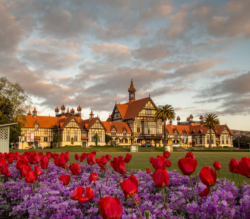 The historic Tudor-style Rotorua Museum building stands behind a vibrant flower bed of red tulips and purple blossoms under a soft sunset sky.