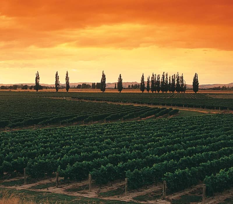 North Island Fairways