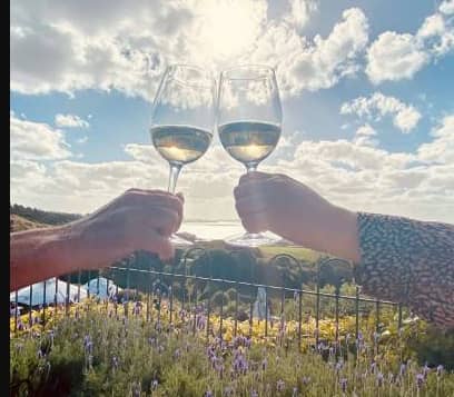 Two hands clinking wine glasses outdoors with a sunset sky and lavender field.