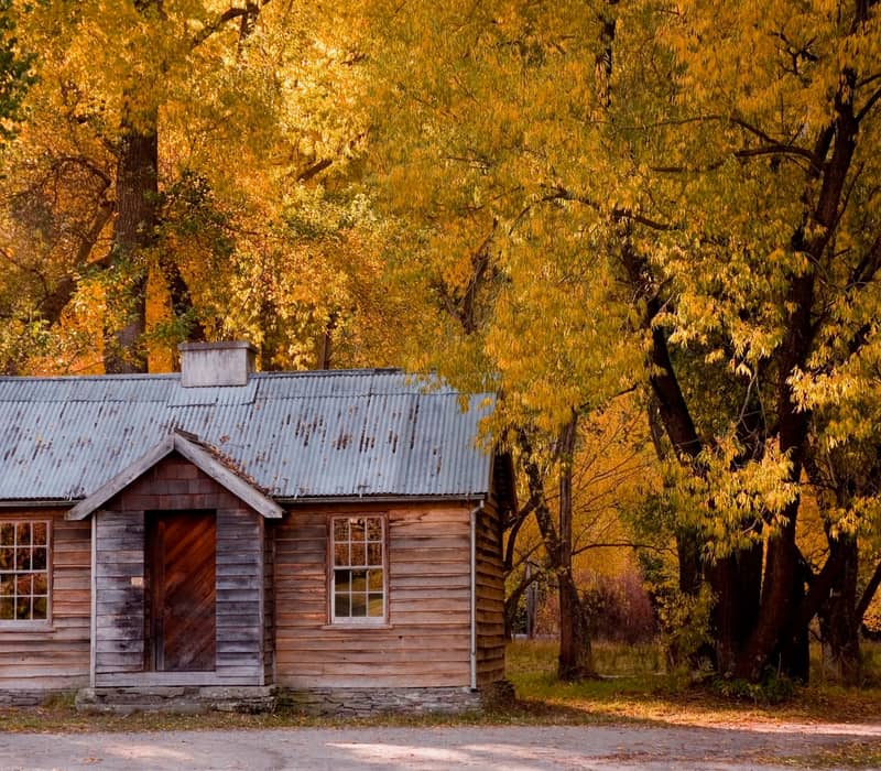 Wooden cottage surrounded by yellow autumn trees in a rural setting