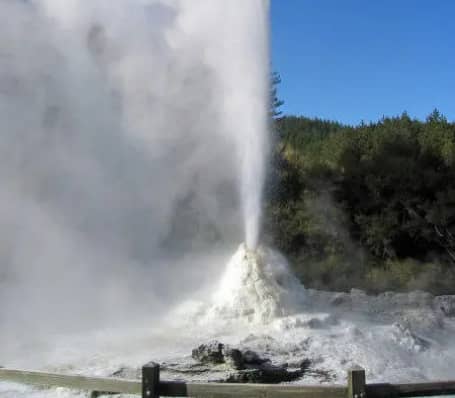 Geyser erupting with steam and water in a natural landscape with trees under blue sky. Credit: Elite Adventures