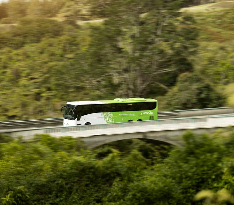 Green and white InterCity bus driving over a bridge surrounded by dense greenery.