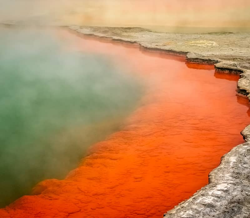 A Taste of the North Island