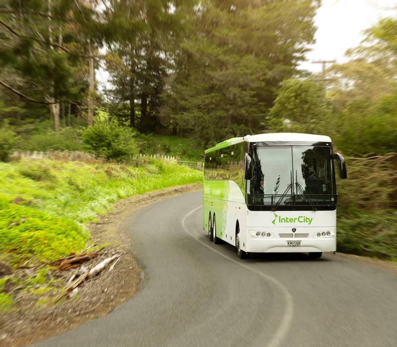 Green and white InterCity bus on a curved rural road surrounded by trees and greenery.