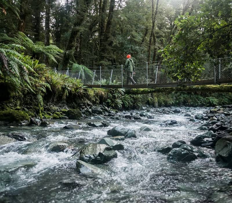 Person walking on suspension bridge over rocky stream in dense forest.