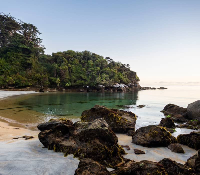Clear bay with sandy beach, rocks, and green trees on Stewart Island at sunset.