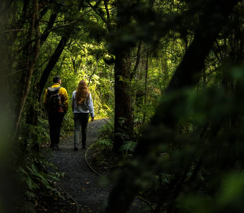 Couple walking on a forest trail surrounded by dense green trees on Stewart Island