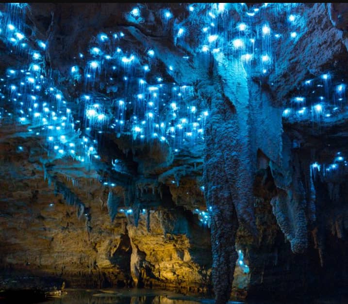 Blue glowing worms lighting up the interior of a rocky cave with water below.