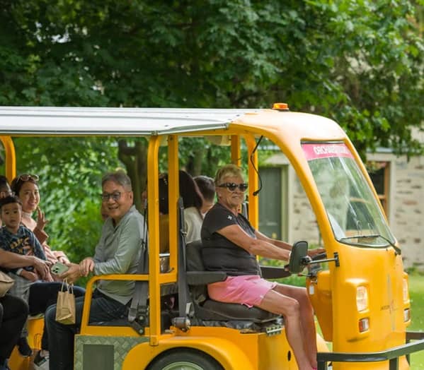 Yellow open-sided shuttle with passengers on a grassy area surrounded by trees.