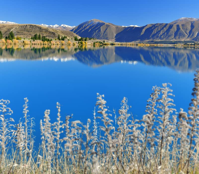 Clear blue lake reflecting snow-capped mountains with blurred grass in the foreground, Arthur's Pass.