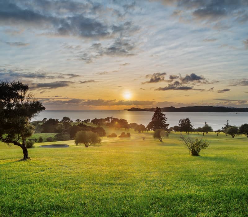 A wide landscape of rolling green lawns and trees at the Waitangi Treaty Grounds during a golden sunrise overlooking the Bay of Islands.