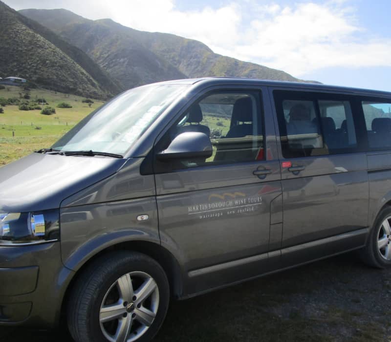 Grey tour van parked on a grassy area with mountains behind under partly cloudy sky