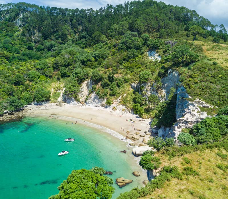 Aerial view of Cathedral Cove beach with forest and turquoise water, boats near shore and cliffs.