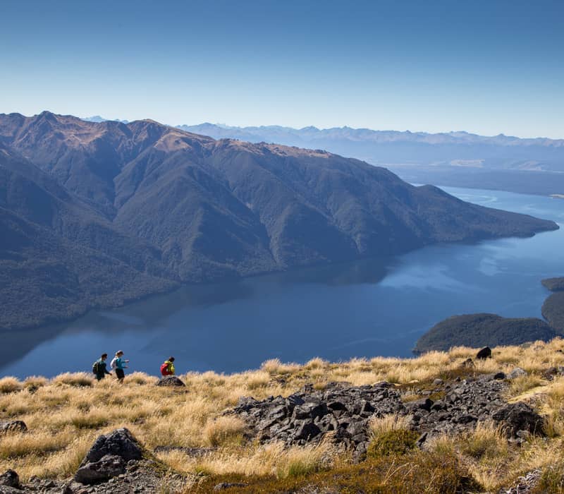 Hikers walking on grassy mountain slope above Lake Te Anau surrounded by mountains and clear sky.