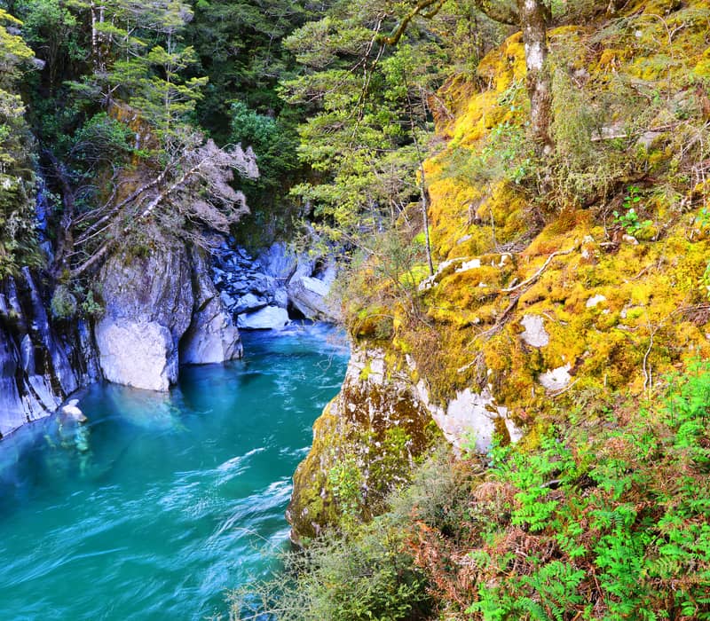 Turquoise water flows between rocks with mossy trees and shrubs along the riverbank.