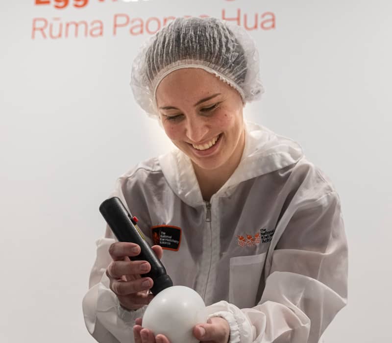 Woman in protective clothing holding and inspecting an egg with a flashlight in an egg hatching room