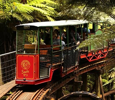 Red and green narrow gauge train with passengers traveling on wooden tracks through dense forest and tree ferns.