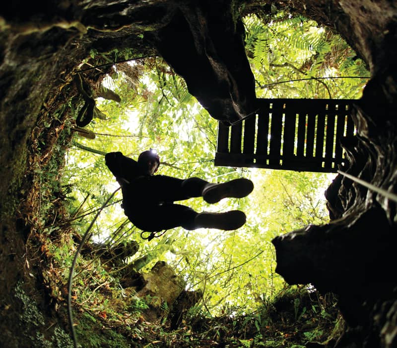 A low-angle view looking up from inside a dark cave shaft at an adventurer abseiling down from a lush, sunlit forest opening above.