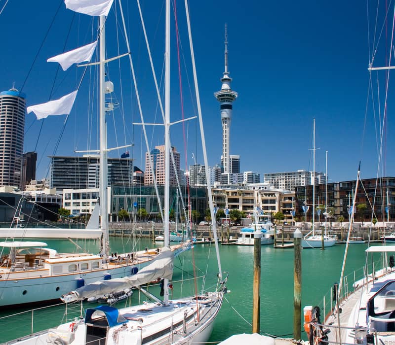 White boats docked in the Auckland Harbour, surrounded by blue sea and Auckland buildings in the background