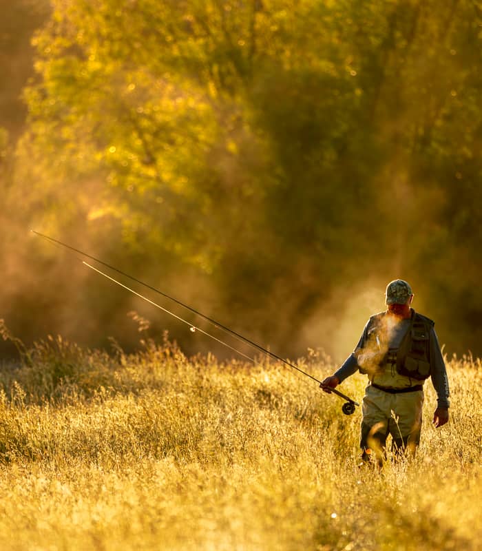 Man fly fishing early in the morning. 