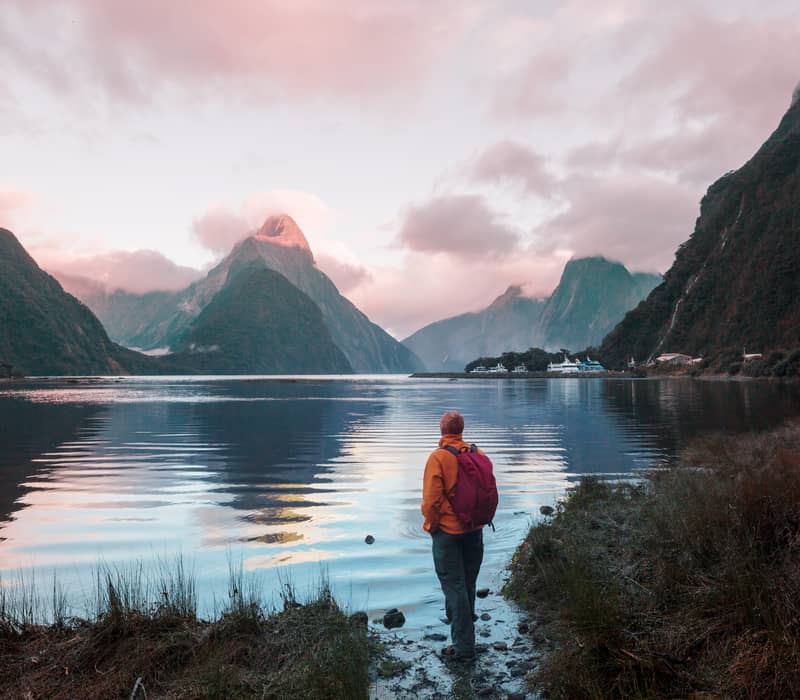 Walker looking at the pink sky sunset at Milford Sound