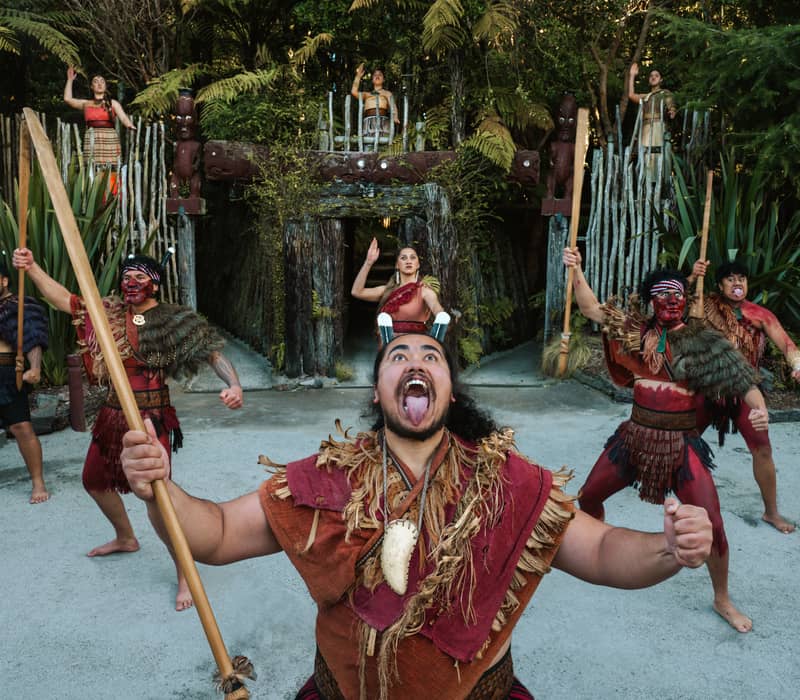 Maori kapa haka group performing traditional dance with spears and face paint in forest setting.