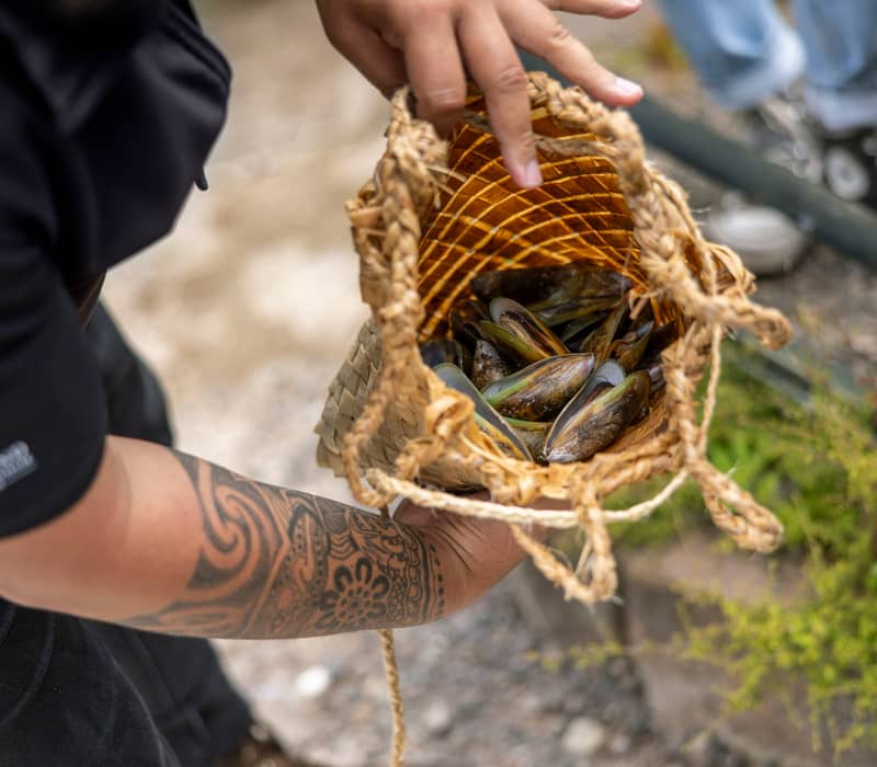 Man pulling Kai out of Kete after cooking in Geothermal Water at Te Puia