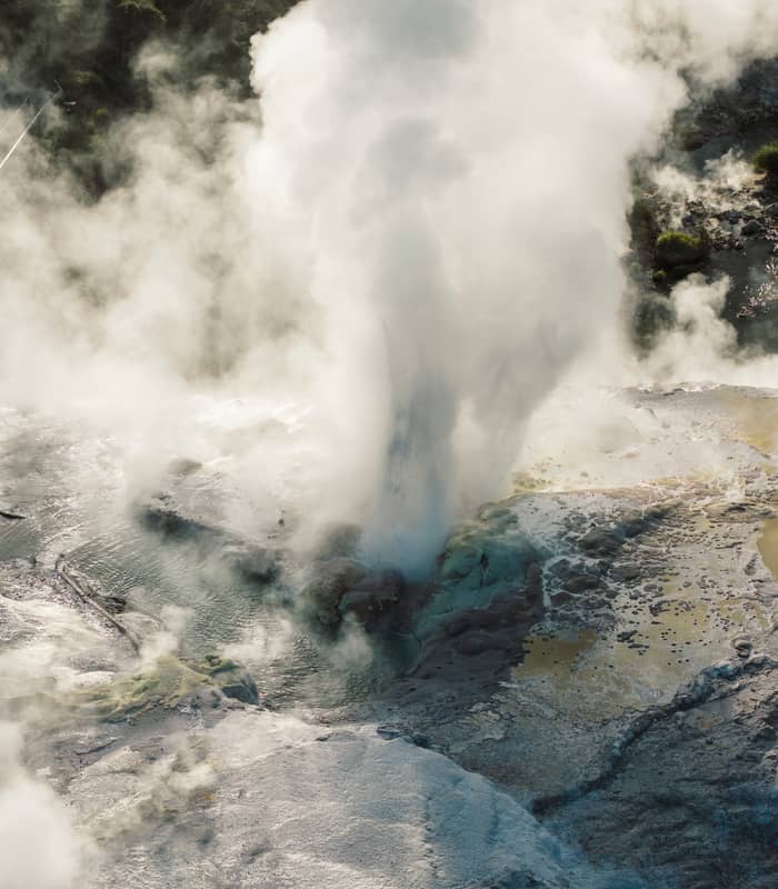 Bubbling geyser at Te Puia