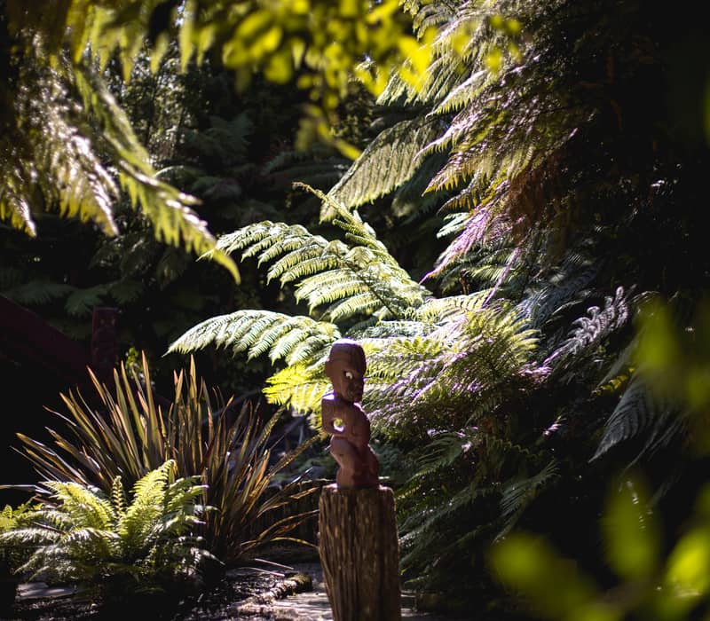 Maori wooden statue surrounded by lush green ferns in sunlit forest setting.
